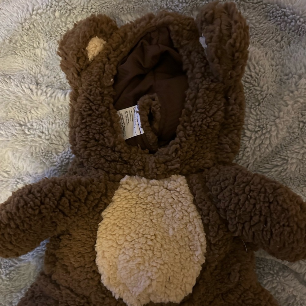 Teddy Bear Dog Halloween Costume